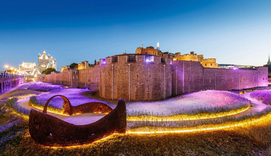 Superbloom at The Tower of London A Nature Celebration